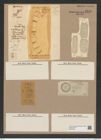 Stephanopyxis turris v. genuina Rlfs. (de-Toni-Nr.: Genus 187, Species 4624) Zeichnungen Sammlung Grunow Nr. 8248 (NHMW-BOT-W0377642)